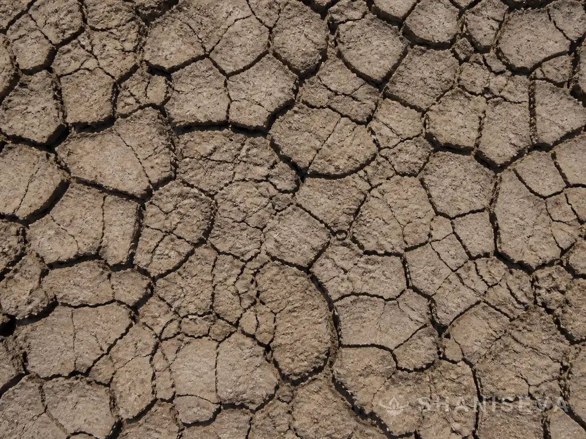 Deeply cracked drought earth